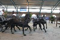 Photo n 40209&#10;WALKENSWAARD 2017 - photo Alison Lagache&#10;&#10;Affiche 8 fois&#10;Ajoute le 12/06/2017 10:41:31 par JeanClaudeGrognet&#10;&#10;--> Cliquer pour agrandir <--