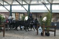 Photo n 40210&#10;WALKENSWAARD 2017 - photo Alison Lagache&#10;&#10;Affiche 7 fois&#10;Ajoute le 12/06/2017 10:41:31 par JeanClaudeGrognet&#10;&#10;--> Cliquer pour agrandir <--