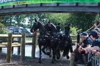Photo n 40213&#10;WALKENSWAARD 2017 - photo Alison Lagache&#10;&#10;Affiche 14 fois&#10;Ajoute le 12/06/2017 10:41:32 par JeanClaudeGrognet&#10;&#10;--> Cliquer pour agrandir <--