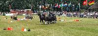 Photo n 40217&#10;VALKENSWAARD 2017&#10;Maxime Maricourt&#10;Affiche 10 fois&#10;Ajoute le 12/06/2017 13:00:42 par JeanClaudeGrognet&#10;&#10;--> Cliquer pour agrandir <--