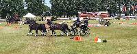 Photo n 40218&#10;VALKENSWAARD 2017&#10;Maxime Maricourt&#10;Affiche 13 fois&#10;Ajoute le 12/06/2017 13:00:42 par JeanClaudeGrognet&#10;&#10;--> Cliquer pour agrandir <--