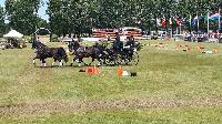 Photo n 40219&#10;VALKENSWAARD 2017&#10;Maxime Maricourt&#10;Affiche 9 fois&#10;Ajoute le 12/06/2017 13:00:42 par JeanClaudeGrognet&#10;&#10;--> Cliquer pour agrandir <--