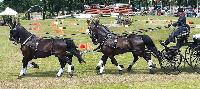 Photo n 40220&#10;VALKENSWAARD 2017&#10;Maxime Maricourt&#10;Affiche 14 fois&#10;Ajoute le 12/06/2017 13:00:42 par JeanClaudeGrognet&#10;&#10;--> Cliquer pour agrandir <--
