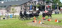 Photo n 40221&#10;VALKENSWAARD 2017&#10;Maxime Maricourt&#10;Affiche 9 fois&#10;Ajoute le 12/06/2017 13:00:42 par JeanClaudeGrognet&#10;&#10;--> Cliquer pour agrandir <--