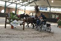 Photo n 40225&#10;VALKENSWAARD 2017 - photo Alison Lagache&#10;&#10;Affiche 10 fois&#10;Ajoute le 12/06/2017 13:36:08 par JeanClaudeGrognet&#10;&#10;--> Cliquer pour agrandir <--