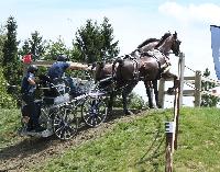 Photo n° 40231
VALKENSWAARD 2017 - photo Alison Lagache

Affichée 15 fois
Ajoutée le 12/06/2017 13:36:09 par JeanClaudeGrognet

--> Cliquer pour agrandir <--