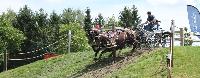 Photo n° 40234
VALKENSWAARD 2017 - photo Alison Lagache

Affichée 7 fois
Ajoutée le 12/06/2017 13:36:09 par JeanClaudeGrognet

--> Cliquer pour agrandir <--