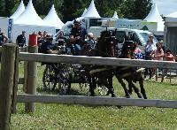 Photo n° 40235
VALKENSWAARD 2017 - photo Alison Lagache

Affichée 9 fois
Ajoutée le 12/06/2017 13:36:09 par JeanClaudeGrognet

--> Cliquer pour agrandir <--