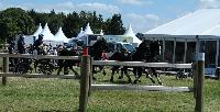 Photo n 40243&#10;VALKENSWAARD 2017 - photo Alison Lagache&#10;&#10;Affiche 9 fois&#10;Ajoute le 12/06/2017 13:36:09 par JeanClaudeGrognet&#10;&#10;--> Cliquer pour agrandir <--