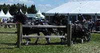 Photo n 40245&#10;VALKENSWAARD 2017 - photo Alison Lagache&#10;&#10;Affiche 9 fois&#10;Ajoute le 12/06/2017 13:36:09 par JeanClaudeGrognet&#10;&#10;--> Cliquer pour agrandir <--