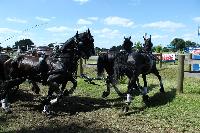 Photo n° 40248
VALKENSWAARD 2017 - photo Alison Lagache

Affichée 7 fois
Ajoutée le 12/06/2017 13:36:09 par JeanClaudeGrognet

--> Cliquer pour agrandir <--