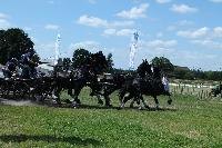 Photo n° 40251
VALKENSWAARD 2017 - photo Alison Lagache

Affichée 13 fois
Ajoutée le 12/06/2017 13:36:09 par JeanClaudeGrognet

--> Cliquer pour agrandir <--