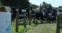 Photo n° 40252
VALKENSWAARD 2017 - photo Alison Lagache

Affichée 9 fois
Ajoutée le 12/06/2017 13:36:09 par JeanClaudeGrognet

--> Cliquer pour agrandir <--