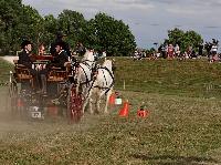 Photo n 40663&#10;REIGNAC 2017 - photo CPCL&#10;&#10;Affiche 11 fois&#10;Ajoute le 05/07/2017 09:54:18 par JeanClaudeGrognet&#10;&#10;--> Cliquer pour agrandir <--