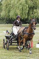 Photo n 40667&#10;REIGNAC 2017 - photo CPCL&#10;&#10;Affiche 16 fois&#10;Ajoute le 05/07/2017 09:54:18 par JeanClaudeGrognet&#10;&#10;--> Cliquer pour agrandir <--