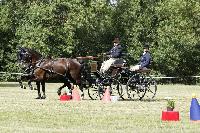 Photo n 40673&#10;REIGNAC 2017 - photo CPCL&#10;&#10;Affiche 9 fois&#10;Ajoute le 05/07/2017 09:54:18 par JeanClaudeGrognet&#10;&#10;--> Cliquer pour agrandir <--