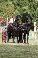 Photo n 40681&#10;REIGNAC 2017 - photo CPCL&#10;&#10;Affiche 12 fois&#10;Ajoute le 05/07/2017 09:54:18 par JeanClaudeGrognet&#10;&#10;--> Cliquer pour agrandir <--
