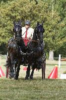 Photo n 40682&#10;REIGNAC 2017 - photo CPCL&#10;&#10;Affiche 15 fois&#10;Ajoute le 05/07/2017 09:54:18 par JeanClaudeGrognet&#10;&#10;--> Cliquer pour agrandir <--