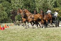 Photo n° 40687
REIGNAC 2017 - photo CPCL

Affichée 17 fois
Ajoutée le 05/07/2017 09:54:19 par JeanClaudeGrognet

--> Cliquer pour agrandir <--