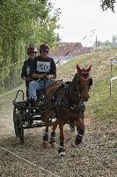 Photo n 40691&#10;REIGNAC 2017 - photo CPCL&#10;&#10;Affiche 17 fois&#10;Ajoute le 05/07/2017 09:54:19 par JeanClaudeGrognet&#10;&#10;--> Cliquer pour agrandir <--
