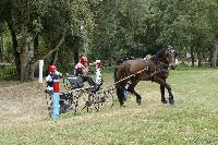 Photo n° 40693
REIGNAC 2017 - photo CPCL

Affichée 12 fois
Ajoutée le 05/07/2017 09:54:19 par JeanClaudeGrognet

--> Cliquer pour agrandir <--