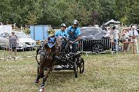 Photo n 40694&#10;REIGNAC 2017 - photo CPCL&#10;&#10;Affiche 10 fois&#10;Ajoute le 05/07/2017 09:54:19 par JeanClaudeGrognet&#10;&#10;--> Cliquer pour agrandir <--