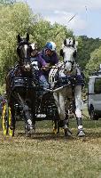 Photo n 40698&#10;REIGNAC 2017 - photo CPCL&#10;&#10;Affiche 15 fois&#10;Ajoute le 05/07/2017 09:54:19 par JeanClaudeGrognet&#10;&#10;--> Cliquer pour agrandir <--
