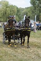 Photo n° 40700
REIGNAC 2017 - photo CPCL

Affichée 11 fois
Ajoutée le 05/07/2017 09:54:19 par JeanClaudeGrognet

--> Cliquer pour agrandir <--