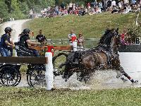 Photo n 40701&#10;REIGNAC 2017 - photo CPCL&#10;&#10;Affiche 19 fois&#10;Ajoute le 05/07/2017 09:54:19 par JeanClaudeGrognet&#10;&#10;--> Cliquer pour agrandir <--