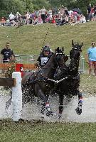 Photo n 40702&#10;REIGNAC 2017 - photo CPCL&#10;&#10;Affiche 13 fois&#10;Ajoute le 05/07/2017 09:54:19 par JeanClaudeGrognet&#10;&#10;--> Cliquer pour agrandir <--