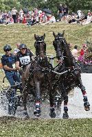 Photo n 40703&#10;REIGNAC 2017 - photo CPCL&#10;&#10;Affiche 27 fois&#10;Ajoute le 05/07/2017 09:54:19 par JeanClaudeGrognet&#10;&#10;--> Cliquer pour agrandir <--