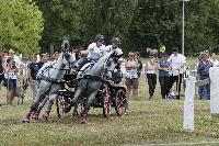 Photo n° 40706
REIGNAC 2017 - photo CPCL

Affichée 16 fois
Ajoutée le 05/07/2017 09:54:19 par JeanClaudeGrognet

--> Cliquer pour agrandir <--