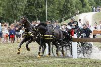 Photo n° 40709
REIGNAC 2017 - photo CPCL

Affichée 32 fois
Ajoutée le 05/07/2017 09:54:20 par JeanClaudeGrognet

--> Cliquer pour agrandir <--