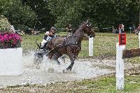 Photo n° 40711
REIGNAC 2017 - photo CPCL

Affichée 19 fois
Ajoutée le 05/07/2017 09:54:20 par JeanClaudeGrognet

--> Cliquer pour agrandir <--