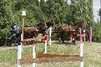 Photo n 40712&#10;REIGNAC 2017 - photo CPCL&#10;&#10;Affiche 13 fois&#10;Ajoute le 05/07/2017 09:54:20 par JeanClaudeGrognet&#10;&#10;--> Cliquer pour agrandir <--