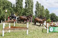 Photo n° 40713
REIGNAC 2017 - photo CPCL

Affichée 15 fois
Ajoutée le 05/07/2017 09:54:20 par JeanClaudeGrognet

--> Cliquer pour agrandir <--