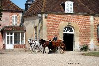 Photo n 40732&#10;CIAT Haras National du Pin 2017 Photo N. TOUDIC&#10;Manuel DEUDON (B) PRE. Dog Cart&#10;Affiche 15 fois&#10;Ajoute le 11/07/2017 11:42:27 par Nadinetoudic&#10;&#10;--> Cliquer pour agrandir <--