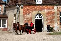 Photo n 40734&#10;CIAT Haras National du Pin 2017 Photo N. TOUDIC&#10;Jean-Pierre DEMAISON (F) Franches-Montagnes&#10;Affiche 27 fois&#10;Ajoute le 11/07/2017 11:42:27 par Nadinetoudic&#10;&#10;--> Cliquer pour agrandir <--