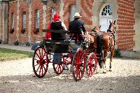 Photo n° 40735
CIAT Haras National du Pin 2017 Photo N. TOUDIC
Jean-Pierre DEMAISON (F) Franches-Montagnes
Affichée 21 fois
Ajoutée le 11/07/2017 11:42:27 par Nadinetoudic

--> Cliquer pour agrandir <--