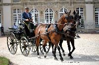 Photo n 40736&#10;CIAT Haras National du Pin 2017 Photo N. TOUDIC&#10;Jean CAVILLON (F) Polonais. Wagonnette&#10;Affiche 25 fois&#10;Ajoute le 11/07/2017 11:42:27 par Nadinetoudic&#10;&#10;--> Cliquer pour agrandir <--