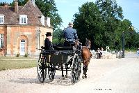 Photo n 40737&#10;CIAT Haras National du Pin 2017 Photo N. TOUDIC&#10;Jean CAVILLON (F) Polonais. Wagonnette&#10;Affiche 11 fois&#10;Ajoute le 11/07/2017 11:42:27 par Nadinetoudic&#10;&#10;--> Cliquer pour agrandir <--