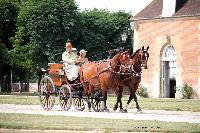 Photo n 40742&#10;CIAT Haras National du Pin 2017 Photo N. TOUDIC&#10;Philippe LAMERANT (F) Chevaux Scherez-Wermblut. Wagonnette&#10;Affiche 334 fois&#10;Ajoute le 11/07/2017 12:22:17 par Nadinetoudic&#10;&#10;--> Cliquer pour agrandir <--