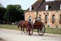 Photo n 40744&#10;CIAT Haras National du Pin 2017 Photo N. TOUDIC&#10;Claude BOMMERT (F) Cob Normand. Pill Box&#10;Affiche 45 fois&#10;Ajoute le 11/07/2017 12:22:18 par Nadinetoudic&#10;&#10;--> Cliquer pour agrandir <--