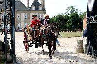 Photo n 40746&#10;CIAT Haras National du Pin 2017 Photo N. TOUDIC&#10;Sabine CHEENNE (F) Poney Franais de Selle. Garden&#10;Affiche 145 fois&#10;Ajoute le 11/07/2017 12:22:18 par Nadinetoudic&#10;&#10;--> Cliquer pour agrandir <--