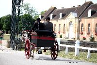 Photo n 40749&#10;CIAT Haras National du Pin 2017 Photo N. TOUDIC&#10;Marc PUITZ (F) Ane du Cotentin. Charrette Anglaise&#10;Affiche 9 fois&#10;Ajoute le 11/07/2017 12:22:18 par Nadinetoudic&#10;&#10;--> Cliquer pour agrandir <--