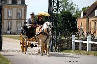 Photo n 40750&#10;CIAT Haras National du Pin 2017 Photo N. TOUDIC&#10;Albert LOCKEFEER (NL) Poney Haflinger. Spider Phaton&#10;Affiche 12 fois&#10;Ajoute le 11/07/2017 12:22:18 par Nadinetoudic&#10;&#10;--> Cliquer pour agrandir <--