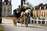 Photo n 40751&#10;CIAT Haras National du Pin 2017 Photo N. TOUDIC&#10;Albert LOCKEFEER (NL) Poney Haflinger. Spider Phaton&#10;Affiche 42 fois&#10;Ajoute le 11/07/2017 12:22:18 par Nadinetoudic&#10;&#10;--> Cliquer pour agrandir <--