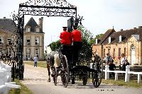 Photo n 40756&#10;CIAT Haras National du Pin 2017 Photo N. TOUDIC&#10;Anthony GOHIER (F) Percherons. Squelette&#10;Affiche 18 fois&#10;Ajoute le 11/07/2017 12:22:18 par Nadinetoudic&#10;&#10;--> Cliquer pour agrandir <--