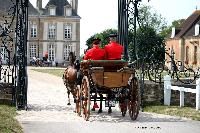 Photo n 40757&#10;CIAT Haras National du Pin 2017 Photo N. TOUDIC&#10;Freddy MOREAU (F) Poneys Franais de Selle. Spider Phaton&#10;Affiche 28 fois&#10;Ajoute le 11/07/2017 12:22:18 par Nadinetoudic&#10;&#10;--> Cliquer pour agrandir <--