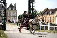 Photo n 40758&#10;CIAT Haras National du Pin 2017 Photo N. TOUDIC&#10;Marc PUITZ (F) Ane du Cotentin. Charrette Anglaise&#10;Affiche 47 fois&#10;Ajoute le 11/07/2017 12:22:18 par Nadinetoudic&#10;&#10;--> Cliquer pour agrandir <--